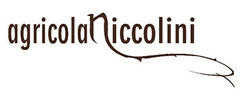 Agricola Niccolini
